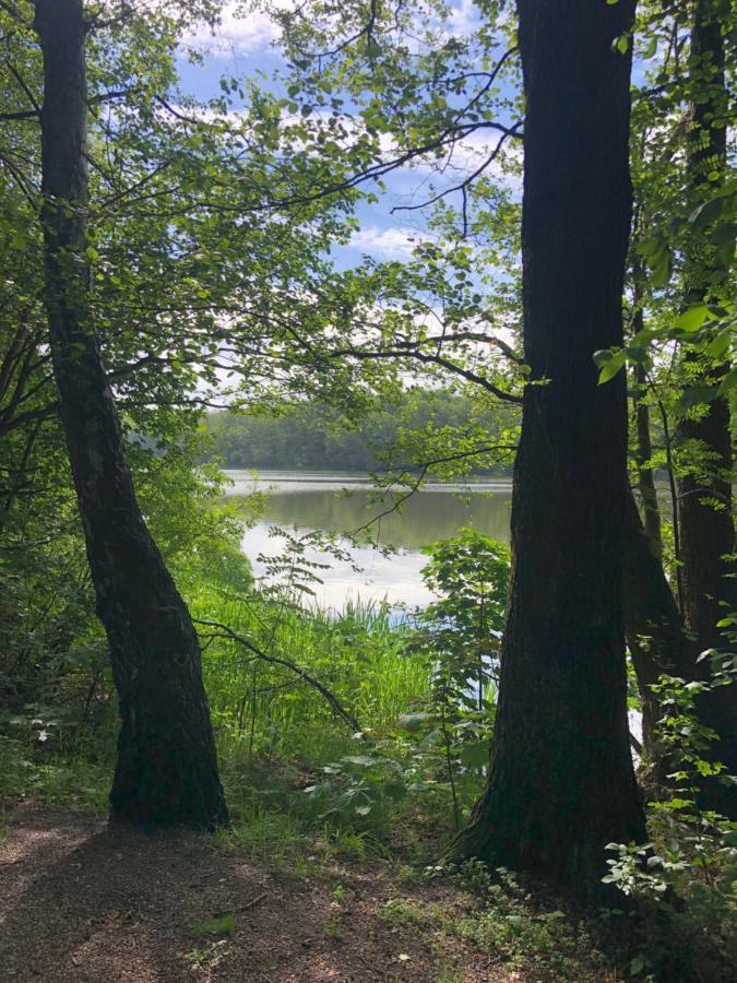 Noclegi Gdansk Pokoje Goscinne エクステリア 写真